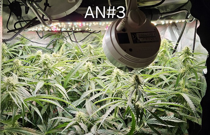 Growreport Bild 8