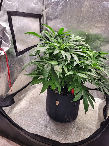 Growreport Bild 12
