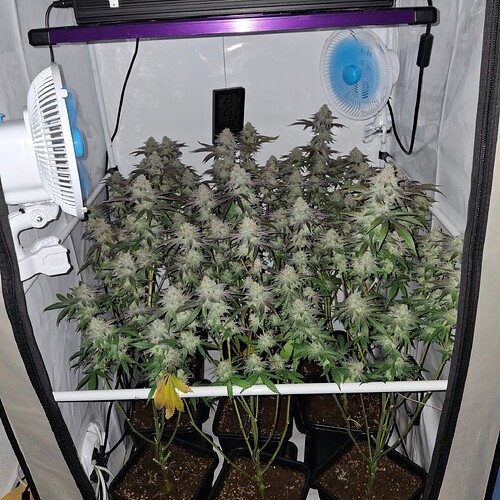 Growreport Bild 21