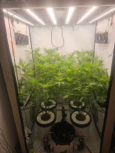 Growreport Bild 16
