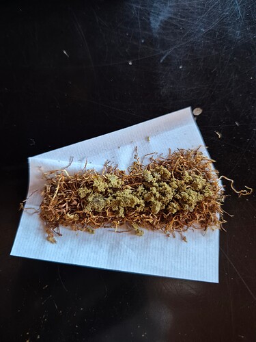 Growreport Bild 6