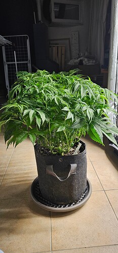Growreport Bild 12