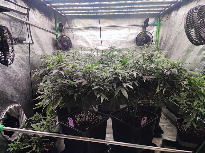 Growreport Bild 12