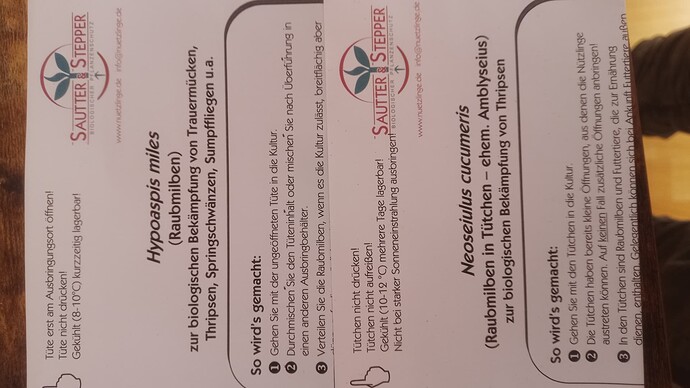 IMG_20240904_094544_584