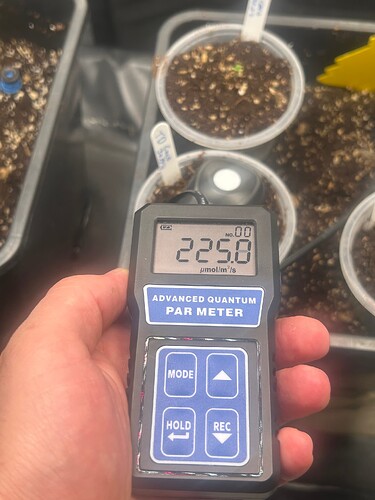 Growreport Bild 98