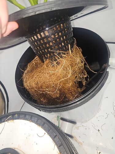 Growreport Bild 21