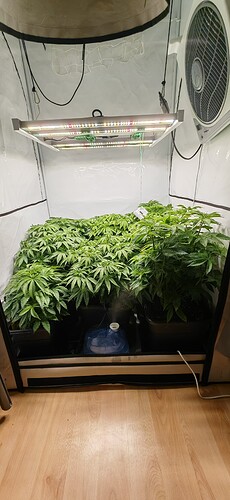 Growreport Bild 1