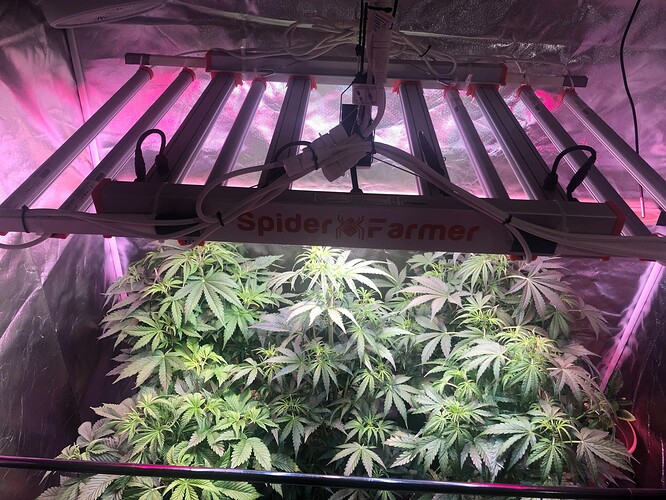 Growreport Bild 25