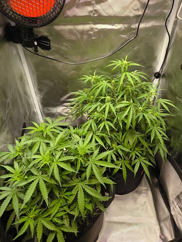 Growreport Bild 20