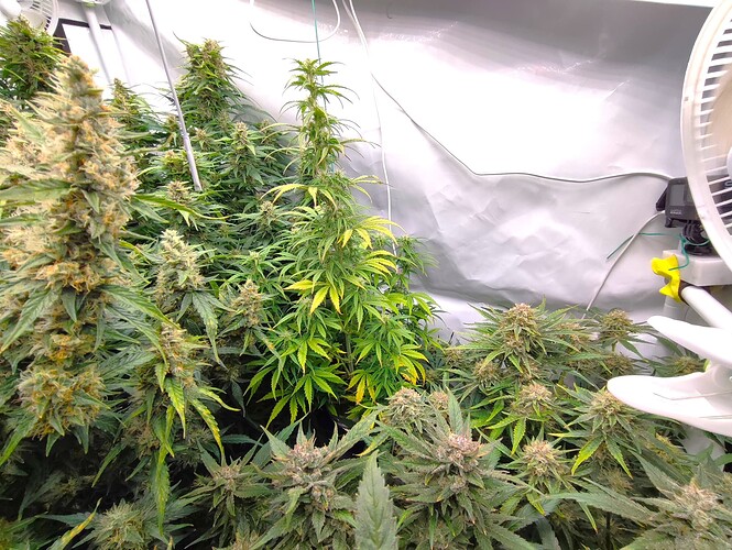Growreport Bild 6