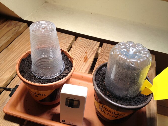 Growreport Bild 37