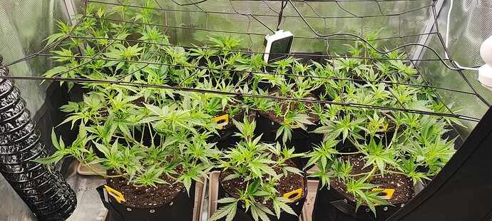 Growreport Bild 12
