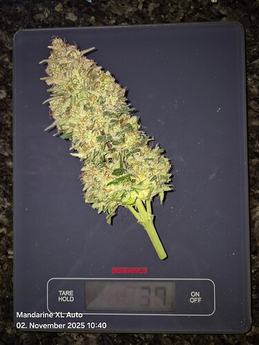 Growreport Bild 2