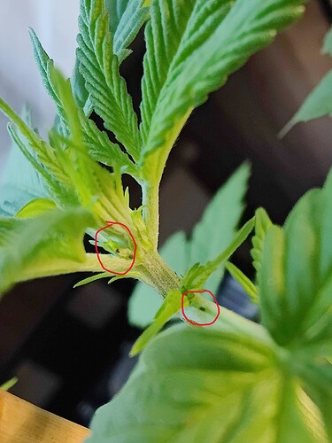 Growreport Bild 10