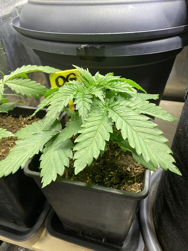 Growreport Bild 10