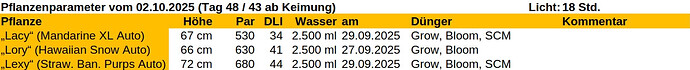 Growreport Bild 26