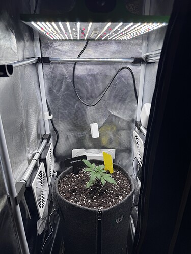 Growreport Bild 39
