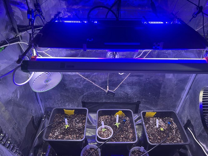 Growreport Bild 8