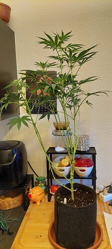Growreport Bild 8