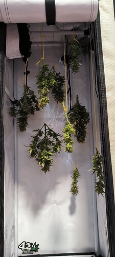 Growreport Bild 2