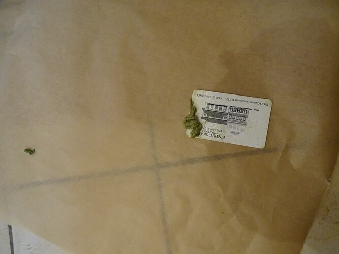 Growreport Bild 24