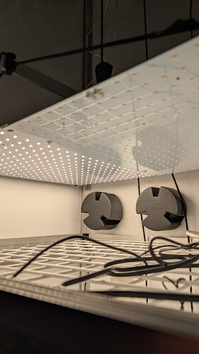 PXL_20250316_105437436.MP