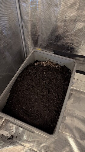 PXL_20260102_171052092