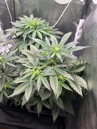Growreport Bild 2