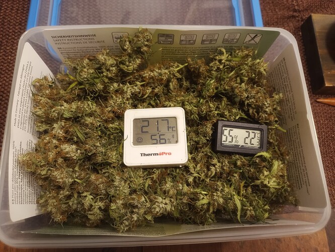 Growreport Bild 16