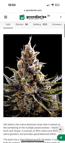 Growreport Bild 33