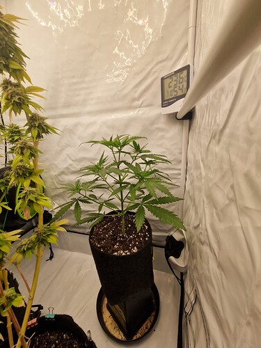 Growreport Bild 9