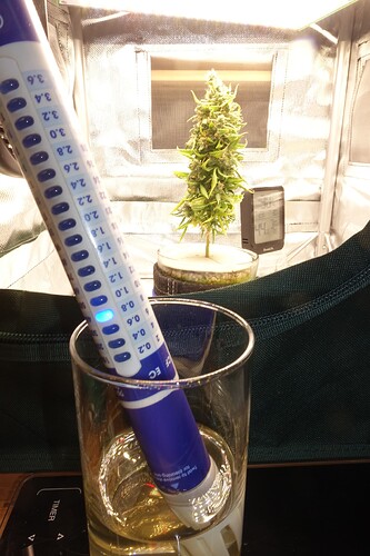 Growreport Bild 4