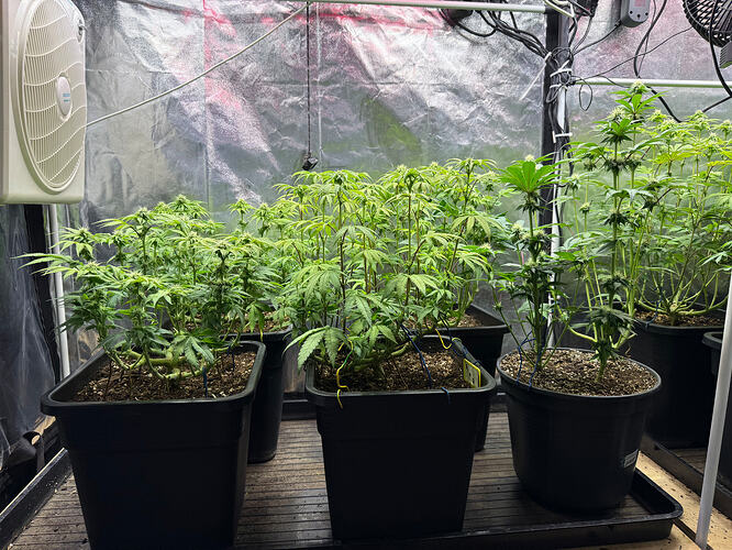 Growreport Bild 17