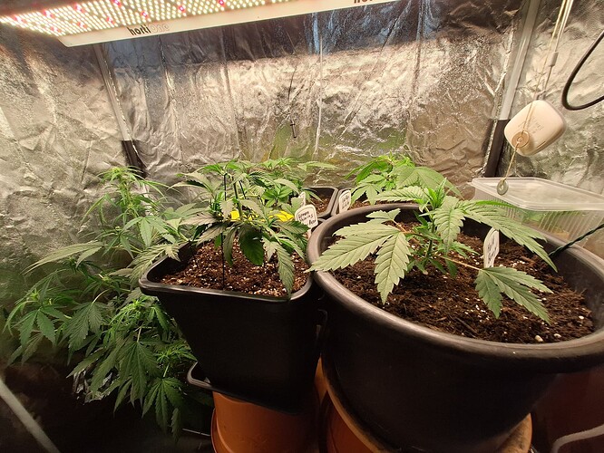 Growreport Bild 5