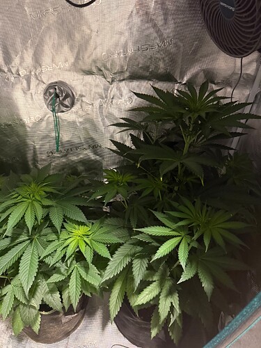 Growreport Bild 10