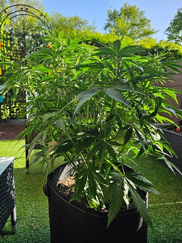 Growreport Bild 8