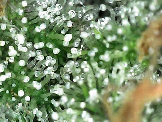 Photo_2025-04-21 12_12_24_668