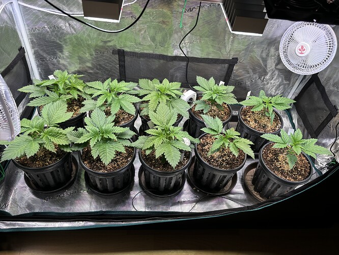 Growreport Bild 18
