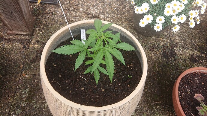 Growreport Bild 8