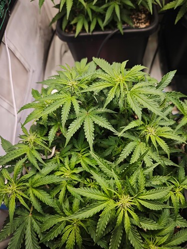 MVIMG_20251019_223818