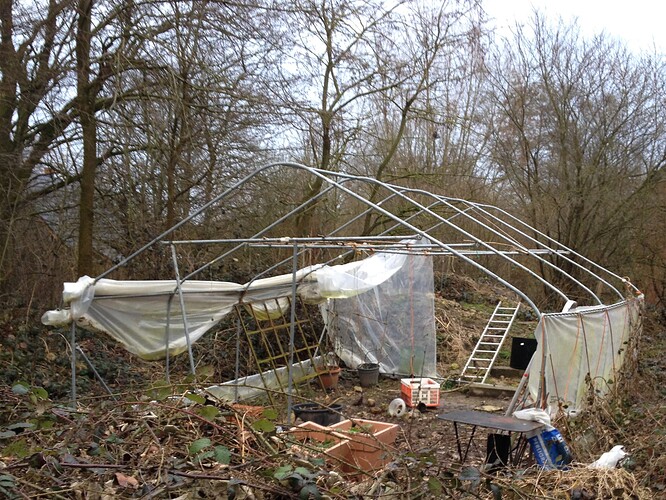 Growreport Bild 9