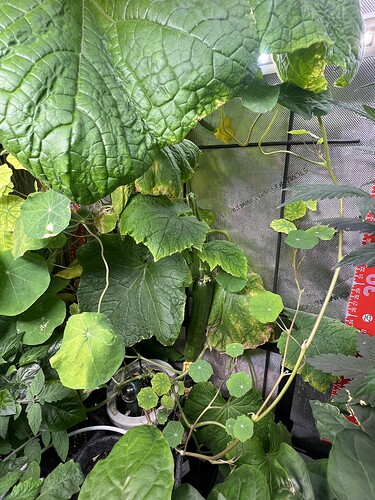 Growreport Bild 8