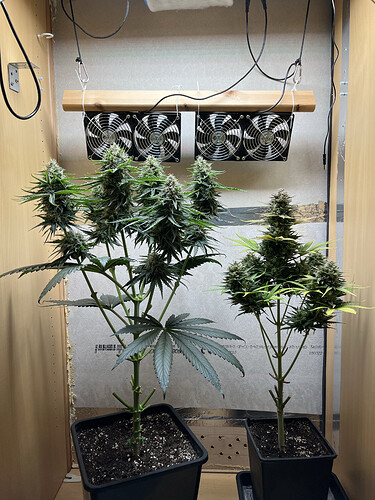 Growreport Bild 5