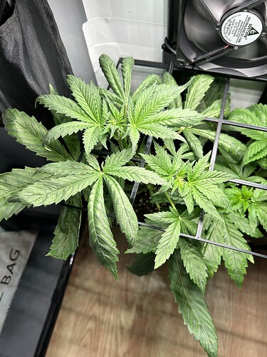 Growreport Bild 7