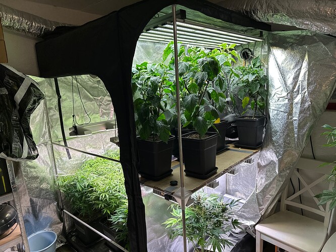 Growreport Bild 25