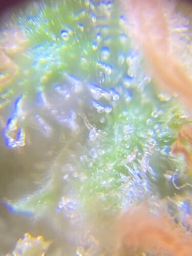 Growreport Bild 53