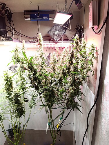 Growreport Bild 17