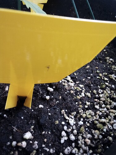 IMG_2025-04-01-21-29-16-520