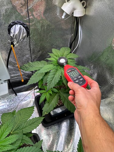 Growreport Bild 58