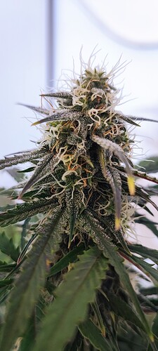 Growreport Bild 18